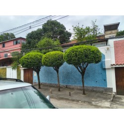 VENDO CASA, COM 3 QUARTOS,...