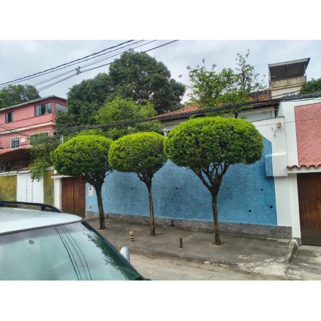 VENDO CASA, COM 3 QUARTOS, EM SÃO JOÃO DE MERITI - CÓD 765- R$ 500.000,00
