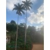 VENDO SUPER CASA, 2 QTS, TERRAÇO, TERRENO, CTO DE NOVA IGUAÇU - COD 534 - R$ 400.000,00