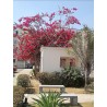 VENDO APTº 3 QUARTOS, C/ ÁREA DE SV, 1 VAGA,  COND PORTAL DO SOL. COD 528 R$ 240.000,00