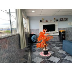 VENDO SUPER DUPLEX, 4 QUARTOS, EM COELHO DA ROCHA - COD -  757 - 430.000,00