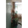 VENDO APTº,  FINO ACABAMENTO, 3 QUARTOS, ACEITA FINANCIAMENTO-R$ 255.000,00 - COD 759