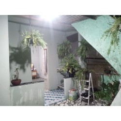 Vendo casa 2 quartos com terreno, garagem + Kitnet - COD 763 - R$ 200.000,00
